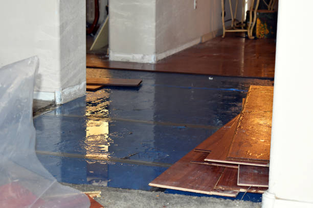 Professional Burst Pipe Cleanup technician working in Carbondale, KS